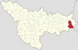 Location in Timiș County