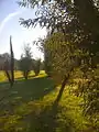Topiary garden