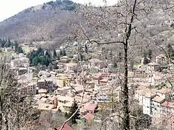 Torriglia