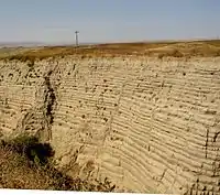  This photo shows another canyon cut into the surrounding flat soil with about 30 distinct horizontal layers of sediment, each clearly demarked from the layer below. Above the canyon a telephone pole can be seen in the distance – the pole provides the perspective that helps the viewer establish that the cut is 30–40&nbsp;ft (9.1–12.2&nbsp;m) deep. In the foreground one observes the near edge of the canyon, which help one establish that the canyon is quite narrow and steep walled.