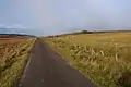 Remote road the in the flow country