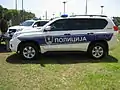 Belgrade 92 Rapid Response