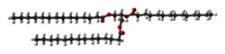 Ball-and-stick model of trimyristin