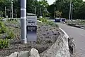 Walkway and pollinator garden in 2022