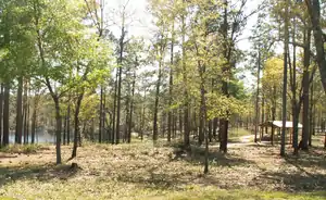 Trout Pond Recreation Area, a part of the Apalachicola National Forest, about 6 miles (9.7&nbsp;km) south of Tallahassee