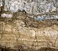 Top of a regressive sequence with algal laminations (yellow) and crystallised gypsum, salt lagoon "chott", Tunisia.