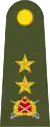Tümgeneral (Turkish Land Forces)