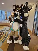 A groundhog fursuiter hugging a wolf fursuiter.