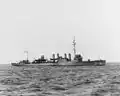 Morris (DD-271)Clemson-class picturedCommanding, 1919-1920
