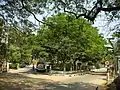 Streets of U.I. Colony