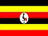 Flag of Bukwo District