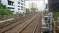 The rails