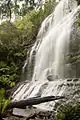 The upper tier of Russell Falls
