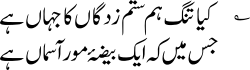 An example of the Nastaliq script used for writing Urdu.Nastaliq:؎ کیا تنگ ہم ستم زدگان کا جہاں ہےجس میں ایک بیضۂ مور آسماں ہےNaskh: .mw-parser-output .script-arabic{font-family:"SF Arabic",Scheherazade,Lateef,LateefGR,"Scheherazade New","Amiri","Noto Naskh Arabic","Droid Arabic Naskh","Microsoft Uighur","Sakkal Majalla","Harmattan","Arabic Typesetting","Arabic Transparent","Times New Roman","Arial",Calibri,"Microsoft Sans Serif","Segoe UI",serif,sans-serif;font-weight:normal}؎ کیا تنگ ہم ستم زدگان کا جہاں ہےجس میں ایک بیضۂ مور آسماں ہے‎