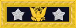 An insignia of a grey star, and eagle, and another grey star