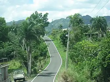 Puerto Rico Highway 567 in Vaga