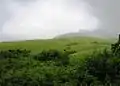 Vagamon meadows, Kerala, India