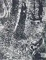 Ivy (Corner in the Garden of Saint-Paul Hospital), 1889, 92 x 72&nbsp;cm, Location unknown (F609)