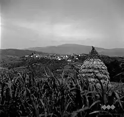 Kozjane in 1955
