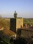 One of the tower of Vicopisano