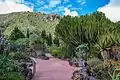Jardín de Viera y Clavijo