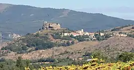 A general view of the village of Mison and the castle