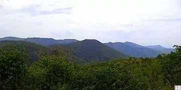 Wooded hills