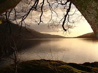 Image 21Loch Lomond in Scotland forms a relatively isolated ecosystem. The fish community of this lake has remained stable over a long period until a number of introductions in the 1970s restructured its food web. (from Ecosystem)