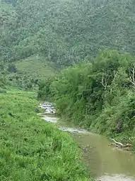 View from bridge in Sector La Playita
