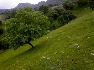 Shelaldoun around the  Gachsaran city, Early spring