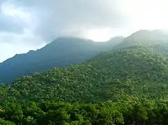Ba Vi National Park