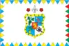 Flag of Vynohradiv Raion