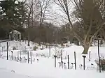 Garden in winter