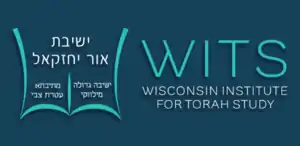 WITS logo