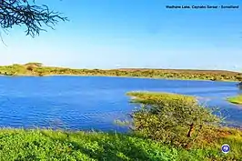 Aynaba