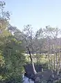 Walton Bridge Reserve at The Gap