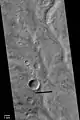 Warrego Valles, as seen by Mariner 9. This image suggests that rain/snow was necessary to form this kind of branched network of channels.