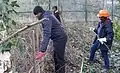 Weaving a hurdle deadhedge