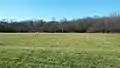 Soccer field