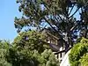 Weston Havens House