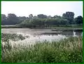 Wetlands at the Argos Izaak Walton League Historic District