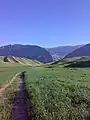 Wheat farms near Sheykh Makan