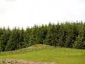 White Cairn.