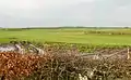 The site of Whitehill Loch looking north.