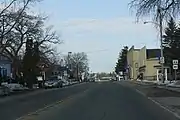 Downtown Wild Rose