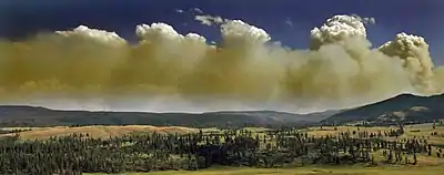 Pyrocumulus clouds  (September 2009)