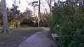 Trail