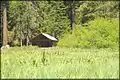 *Willow Prairie meadow