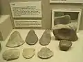 Hoes from the Nodena site