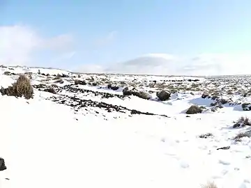 Snowdrift on Wet Moss at the end of the valley between Helmshore and Edgeworth, during February 2009.